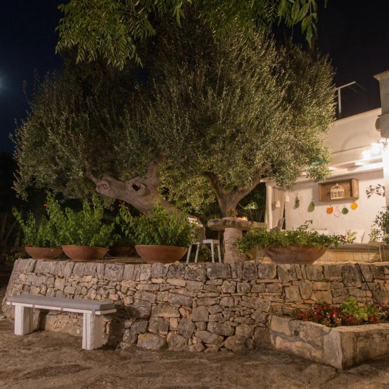 TD Casa Torchiano Hilltop Pool with Sea View - Casa Vacanze - 17