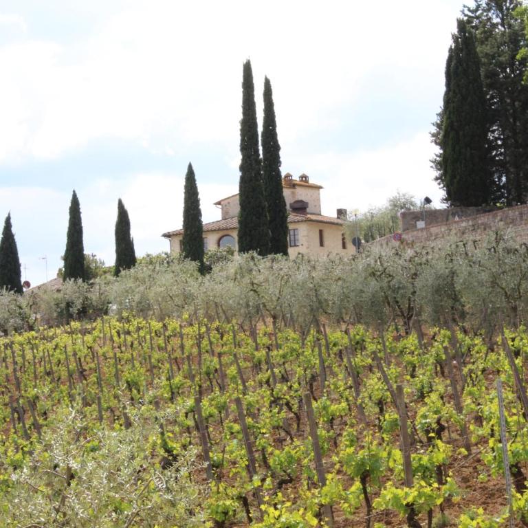Ginestra - Appartamento con 2 Camere da Letto - 41