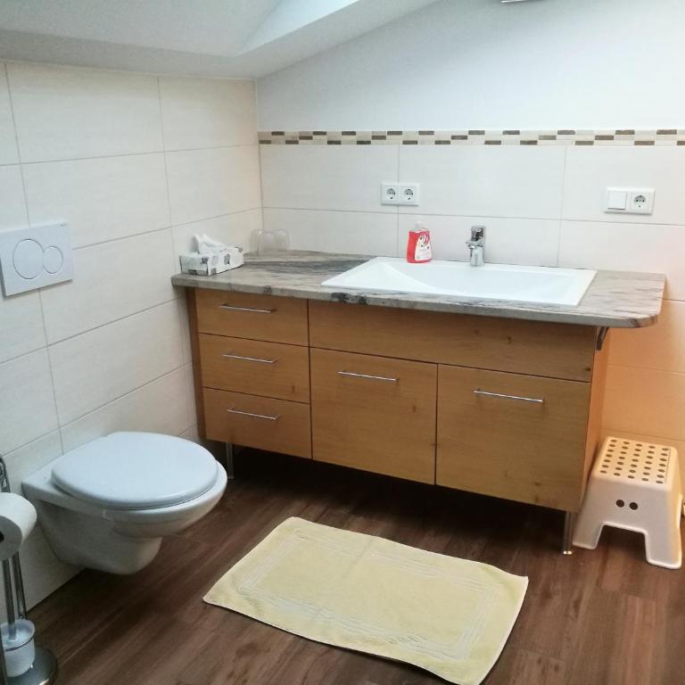 Gut Mitterlehen - Two-Bedroom Apartment without Breakfast - 11