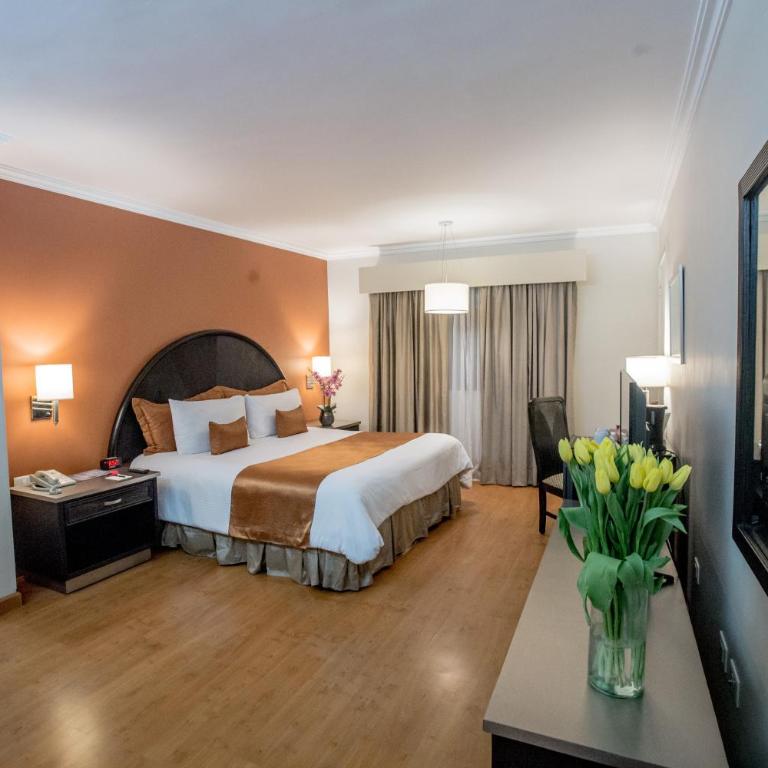 Plaza de Oro - Double Room - 3