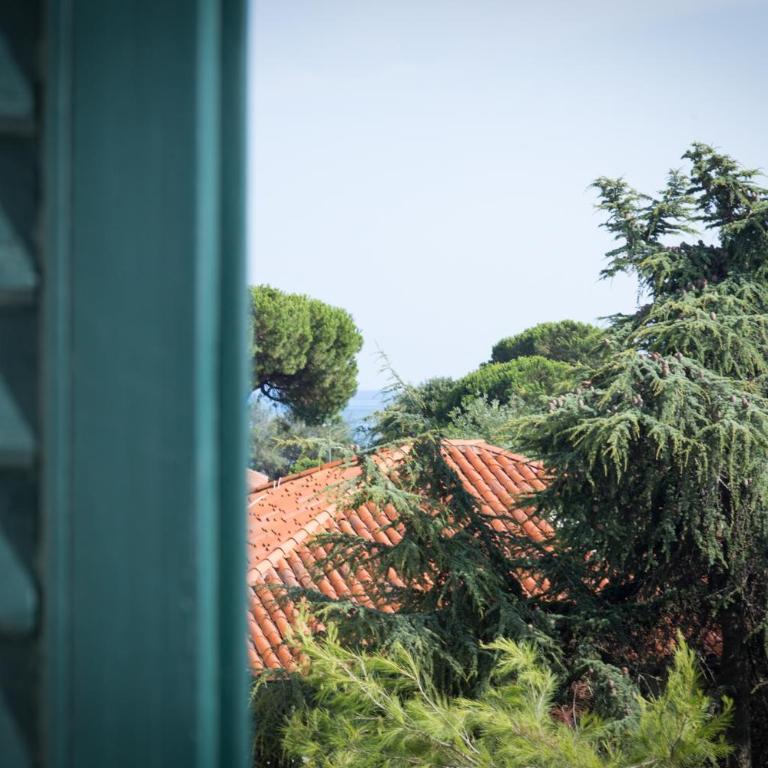 Hotel La Meridiana - Camera Matrimoniale Deluxe con Terrazza - 7
