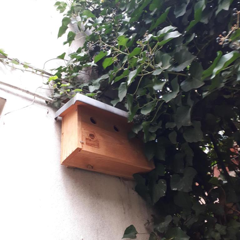 Le nichoir aux oiseaux - Maisonnette - 20