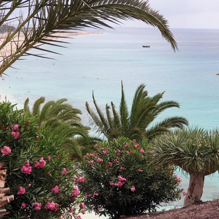 Holamigos Morro Jable - Apartamento con vistas al mar - 48