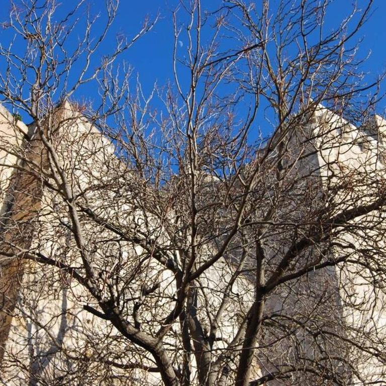 Suite Cagliari -97- - Appartamento con 1 Camera da Letto - 25