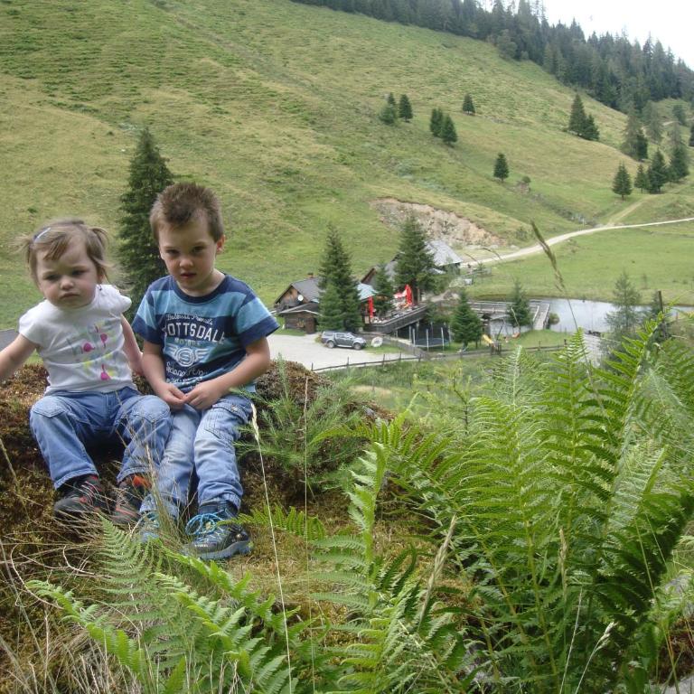 Schmiedalm - Hütte - 23