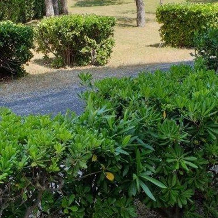 T2 FRONT DE MER SUR LA PLAGE (ACCES PRIVE DIRECT PLAGE) VUE MER ET MONTAGNE - Appartement 1 Chambre - 12
