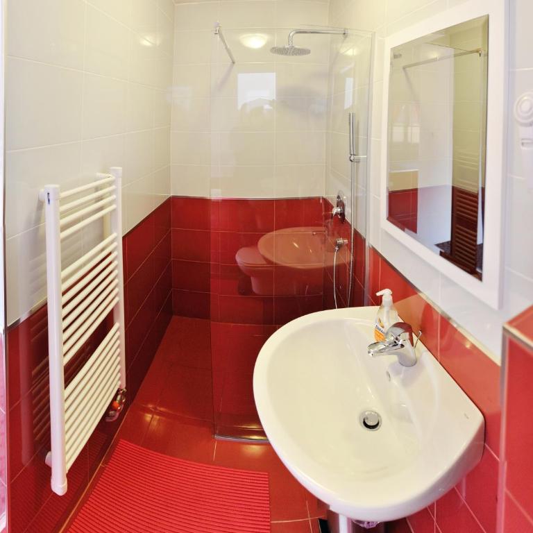 ĆIRO HOTEL -free parking - Deluks Soba sa Bračnim Krevetom (King-size) - 6