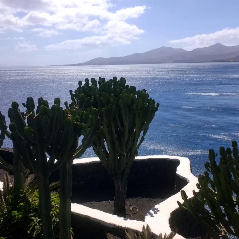 Vv Apartamento Gran Vista Los Marinos - Apartamento de 1 dormitorio - 14