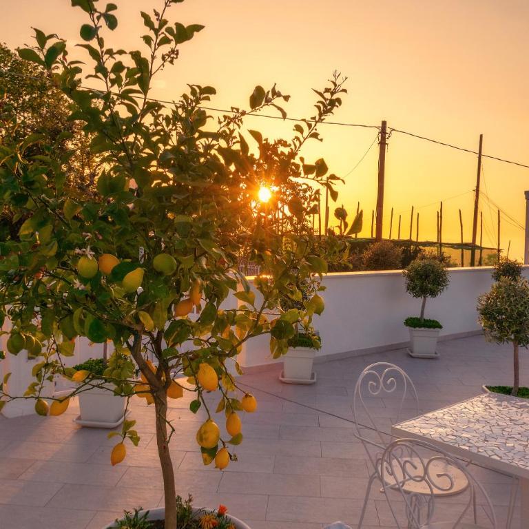 Residence Le Terrazze - Monolocale con Balcone e Vista Mare (2 Adulti) - 23