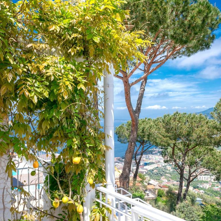 Residence Le Terrazze - Monolocale con Balcone e Vista Mare (2 Adulti) - 26