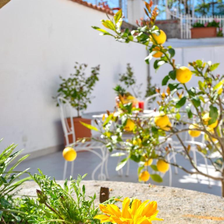 Residence Le Terrazze - Monolocale con Balcone e Vista Mare (2 Adulti) - 31