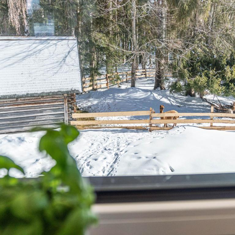 Appartement Ahorn - Apartment with Sauna - 26