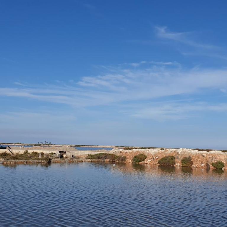 La Manga Paradies zwischen den zwei Meeren - Apartamento de 2 dormitorios - 30