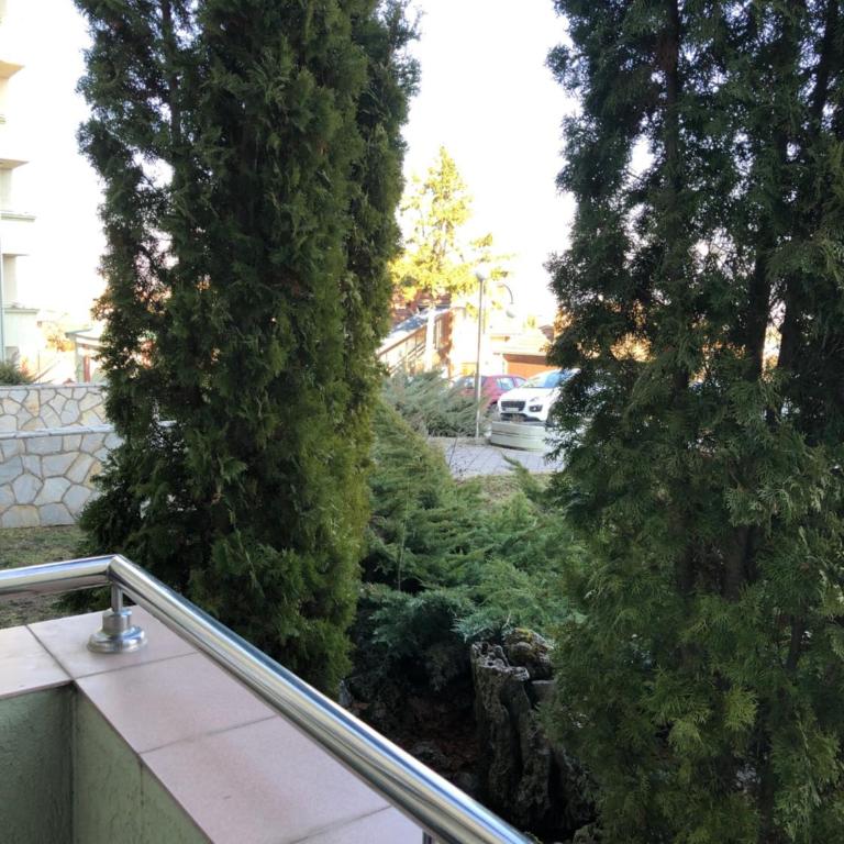 Studio Mišel 2 - Studio sa Terasom - 13