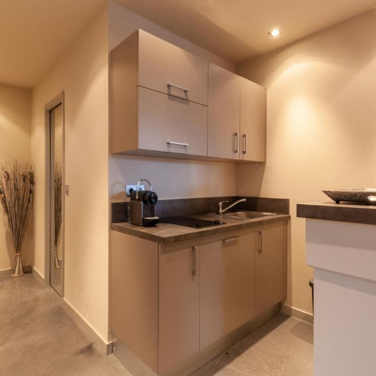 Apartment with parking on Place de Morny - Monolocale - 7