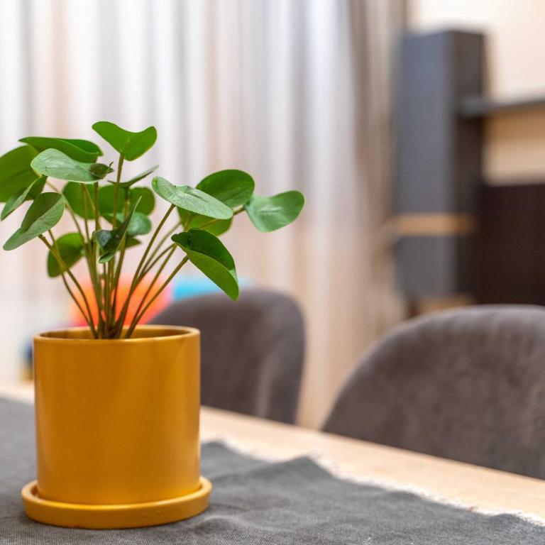 Luxury Kalman Centar Apartman - Apartman sa 2 Spavaće Sobe - 1
