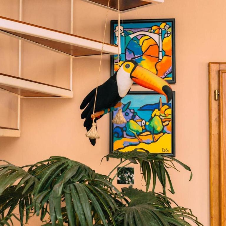 Casa Pasinovic - Villa - 24