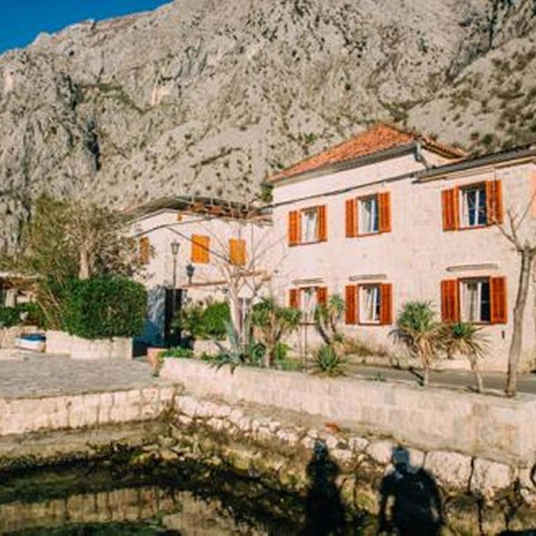 Casa Pasinovic - Villa - 7