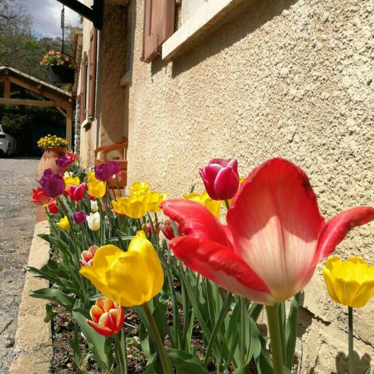 Maison 3 étoiles avec jardin pour familles, sportifs, curistes... - Maison 4 Chambres - 19
