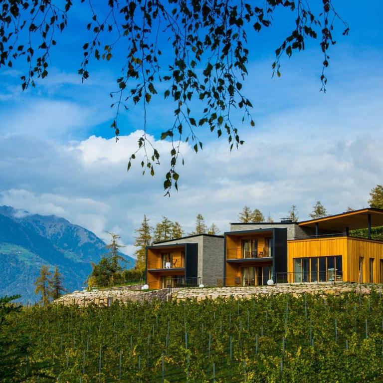 Weingut Eichenstein - One-Bedroom Apartment - 1