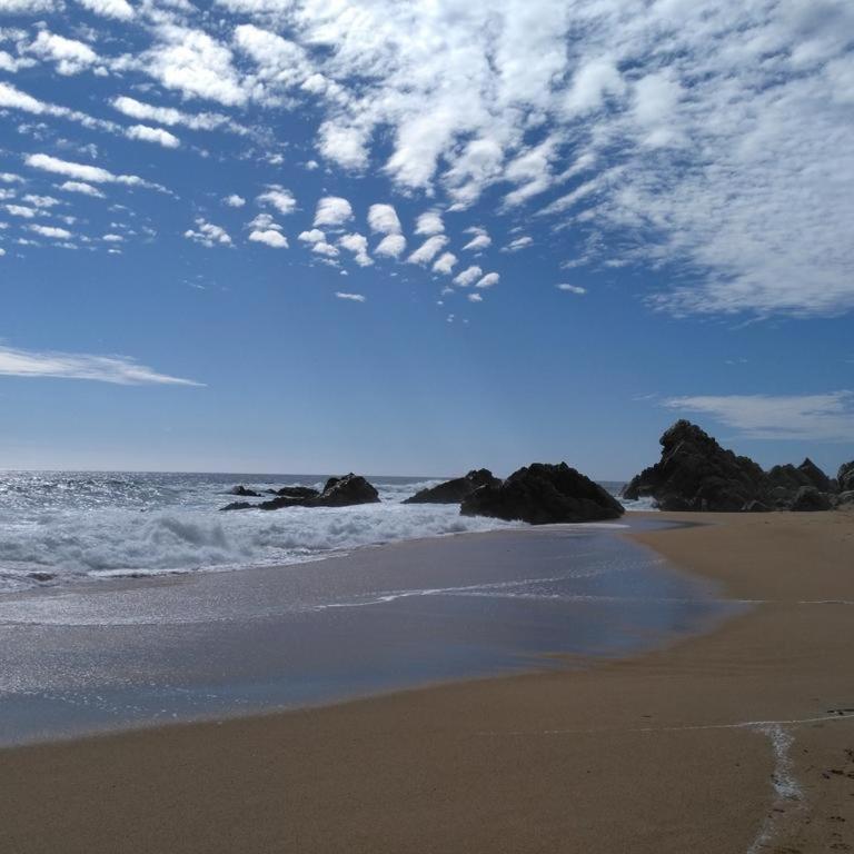Departamento Algarrobo Norte - Apartamento de 2 dormitorios - 19