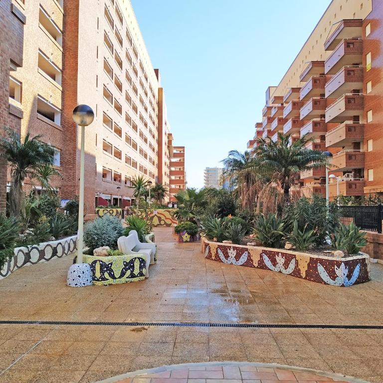 Apartamentos Coral - Marfil Marina Dor 3000 - Apartamento de 2 dormitorios - 29