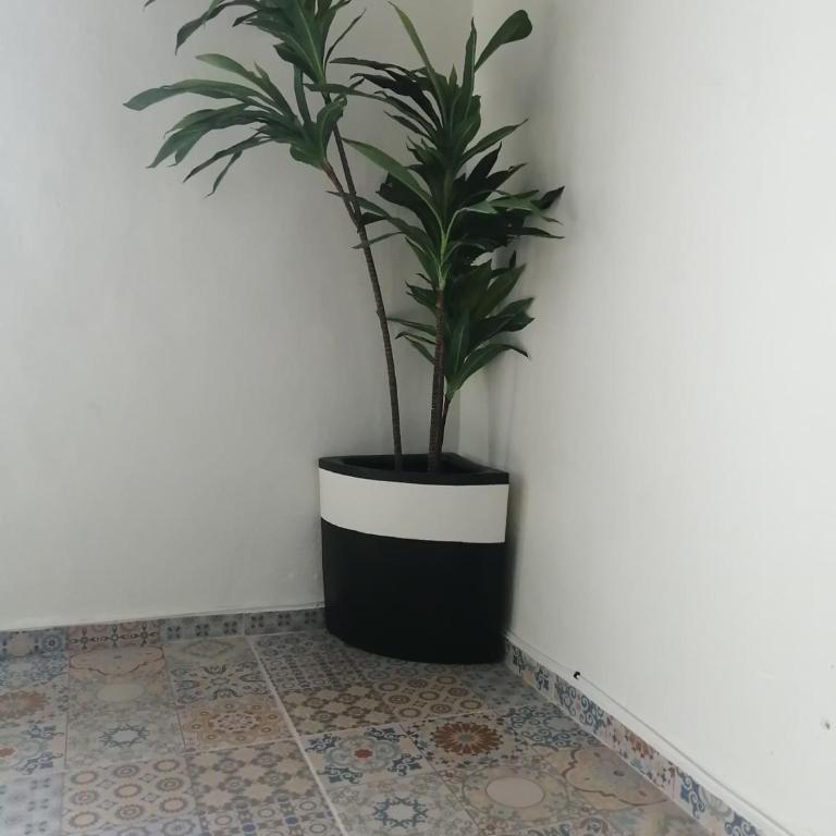 Casa Mama Bety - Apartamento de 2 dormitorios - 7