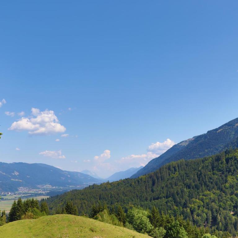 Gasthof Lamprechtbauer - Double Room with Mountain View - 2