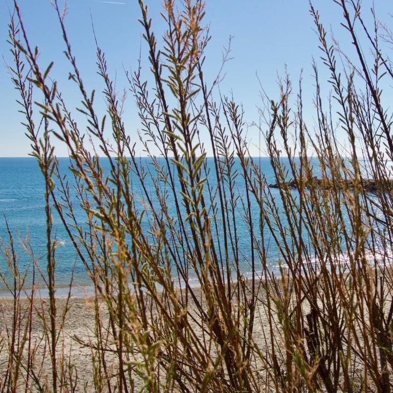 Duplex Carma - Apartamento - 20