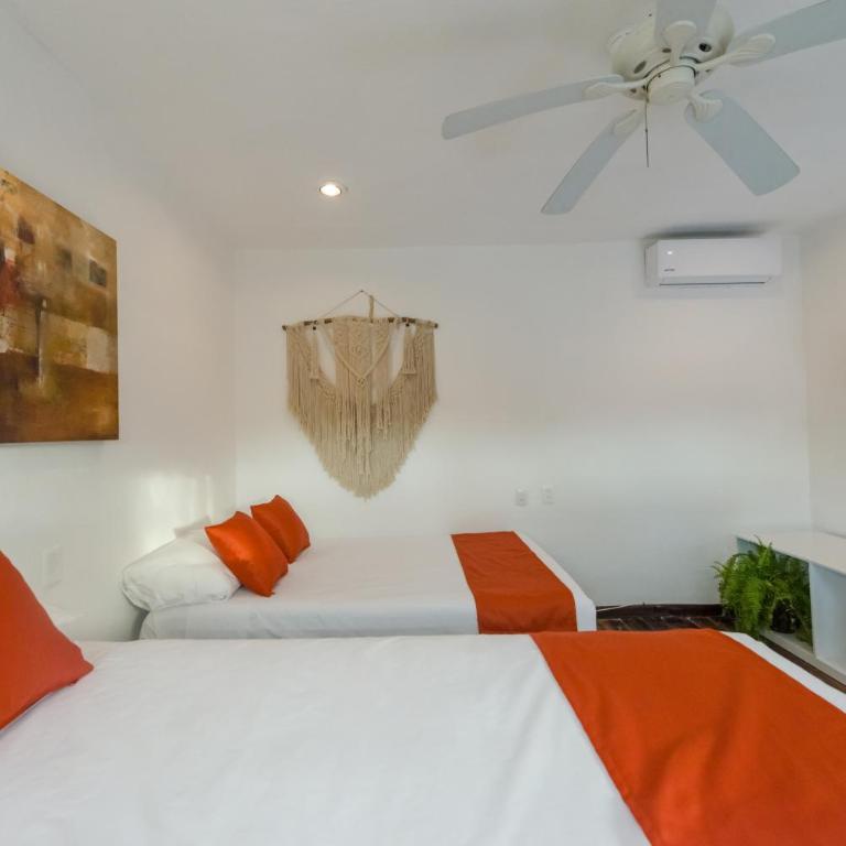 Hotel Caracol Puerto Morelos - Studio - Split Level - 2