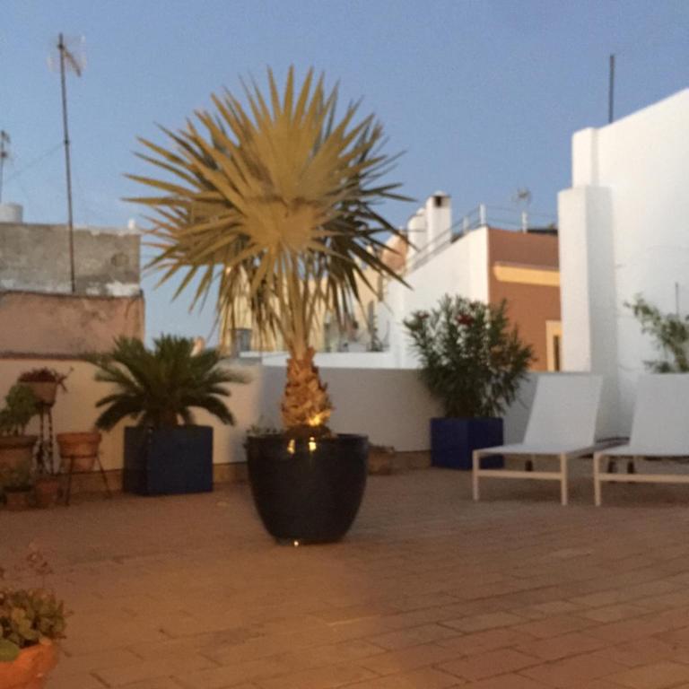 La terraza de San Pedro - Apartamento de 1 dormitorio - 1