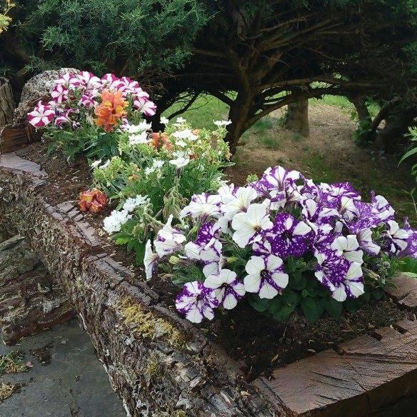 Toscana da Sogno a Villa Allegria - Appartamento con Vista Giardino - 47