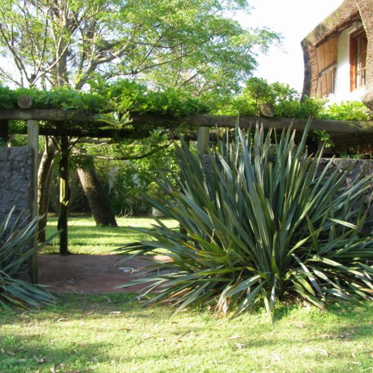 Calandria - Two-Bedroom House - 21