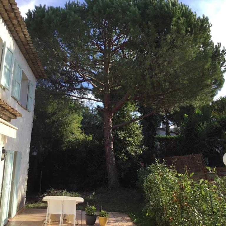 Villa Alessia - Suite 2 Chambres - 36