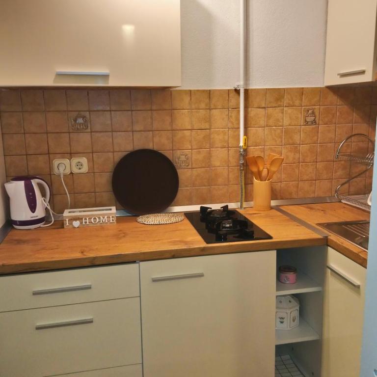 GRBAVICA COZY APARTMENT - free parking - One-Bedroom Apartment - 29
