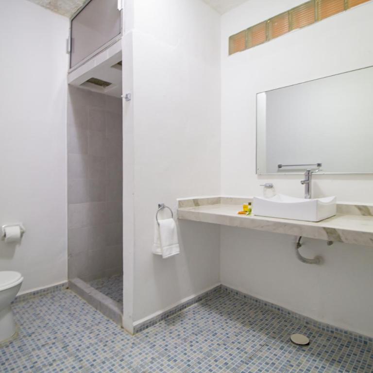 Hotel Colon Merida - Deluxe Suite - 9