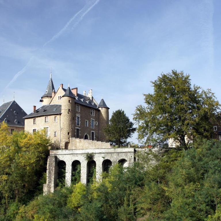 Appartement château Uriage-Chamrousse - Studio - 4