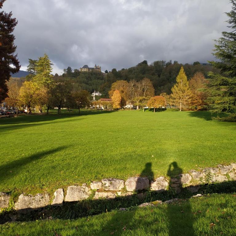 Appartement château Uriage-Chamrousse - Studio - 6