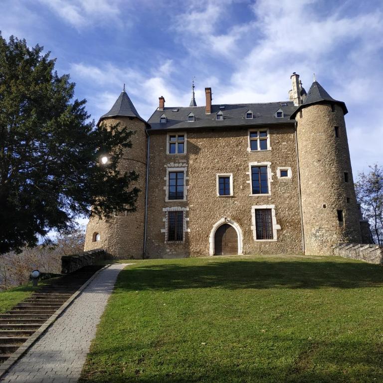 Appartement château Uriage-Chamrousse - Studio - 20
