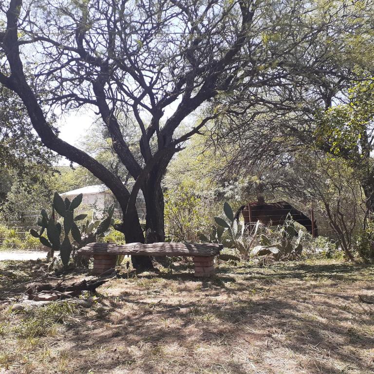 Jardin de Estrellas - Casa con 1 dormitorio - 22