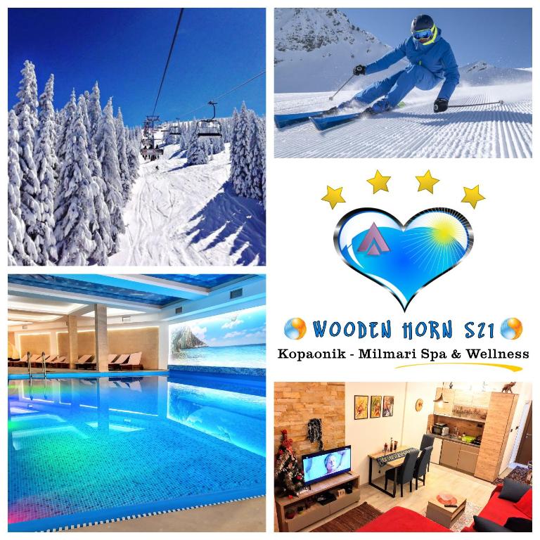 Kopaonik Milmari Spa and Wellness Wooden Horn S21 - Deluxe Apartment - 97