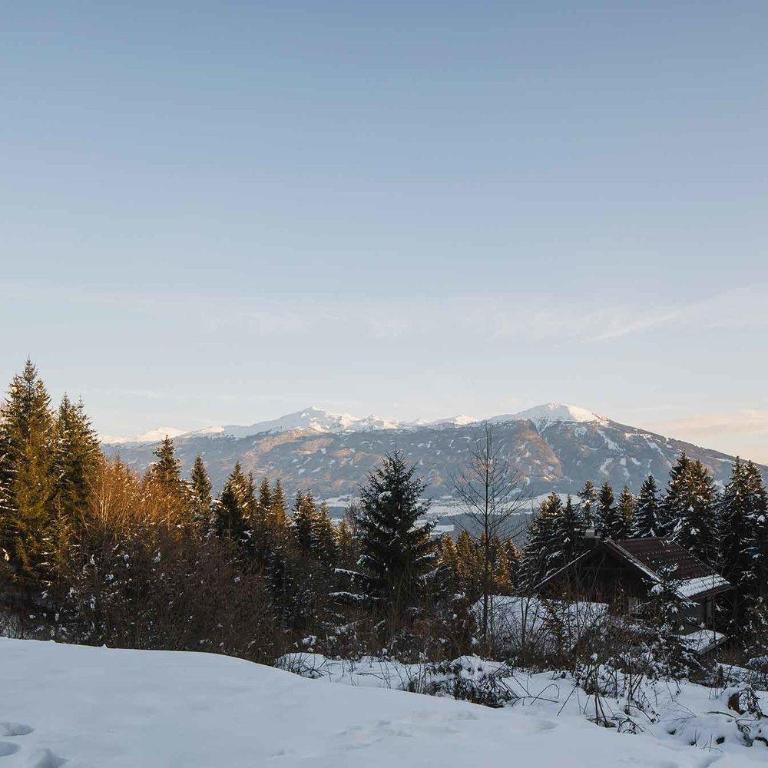 2 Chalets Innsbruck - Standard Chalet - 3