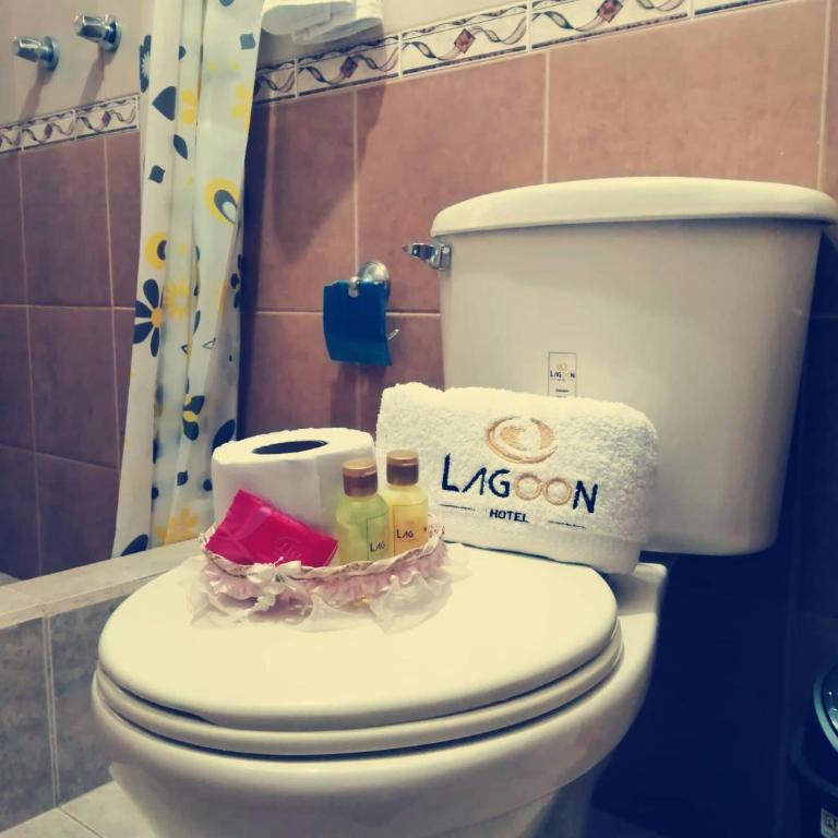 Lagoon Hotel Chugchilan - Habitación Individual con vistas a la montaña - 34