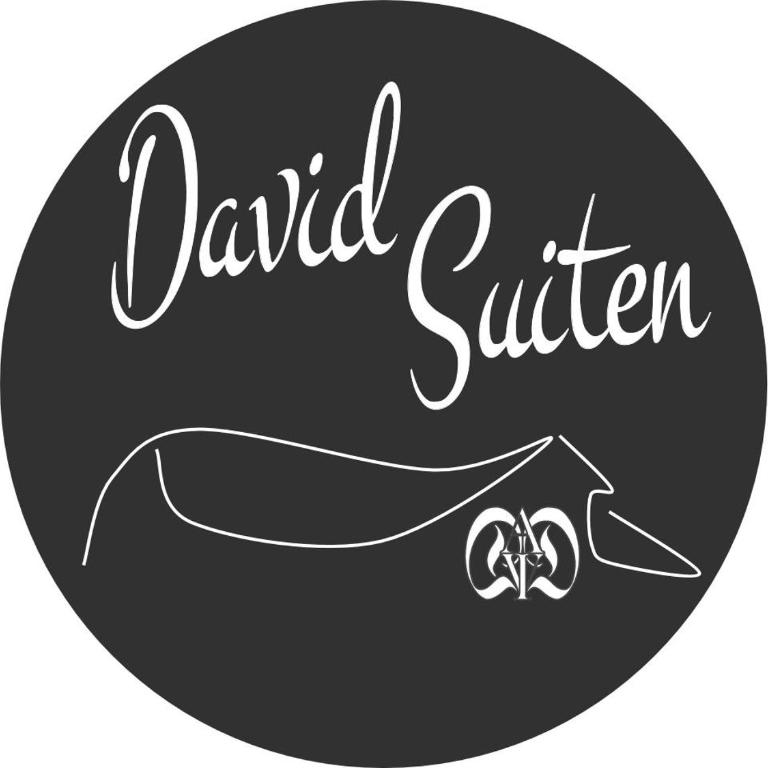 DAVID SUITEN - Deluxe Apartment - 1