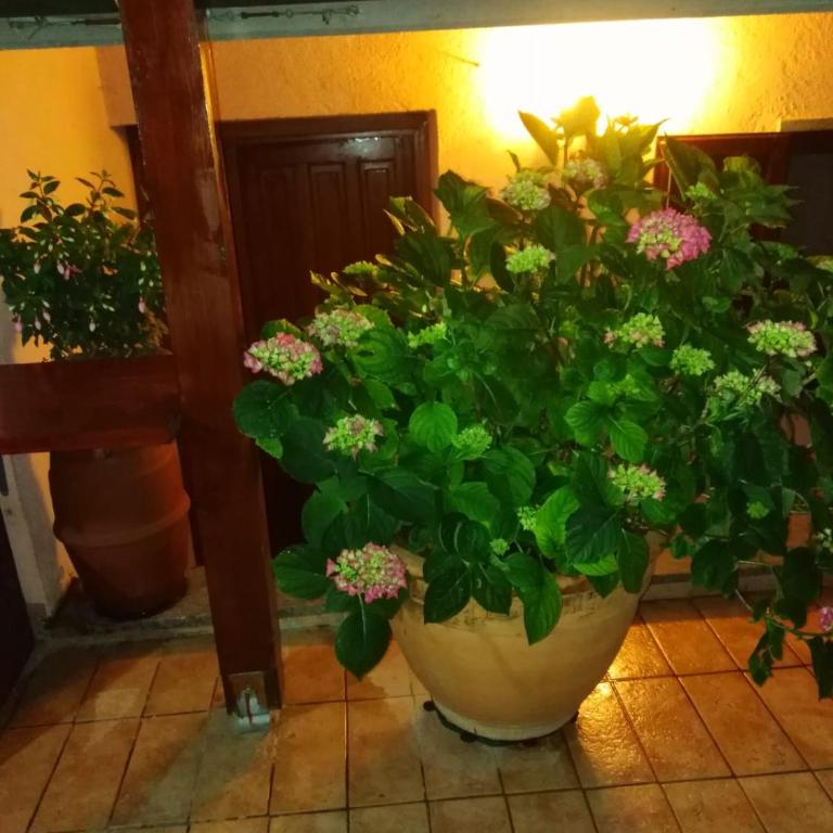 La Fenice - Apartamento de 3 dormitorios - 43