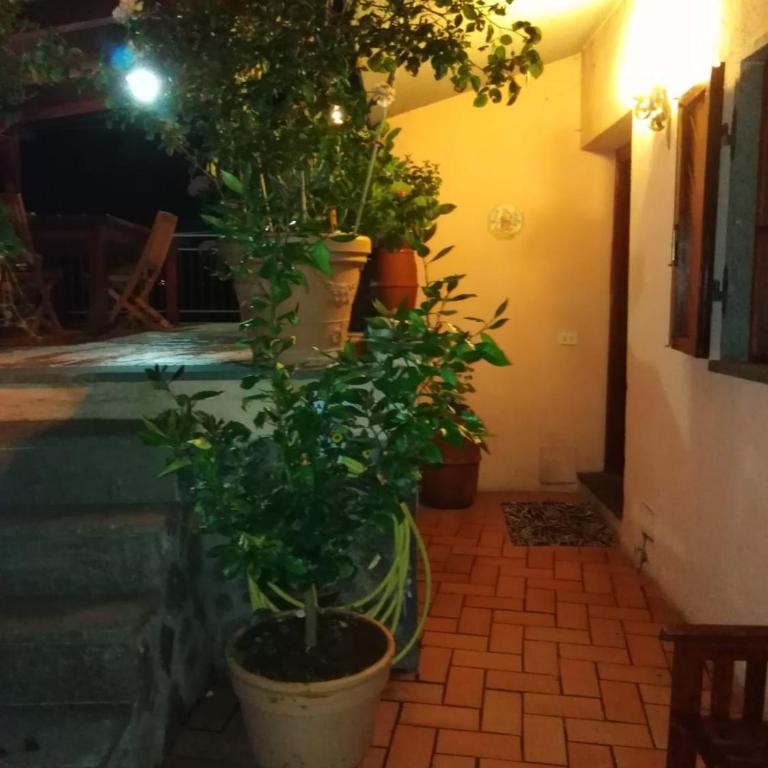 La Fenice - Apartamento de 3 dormitorios - 53