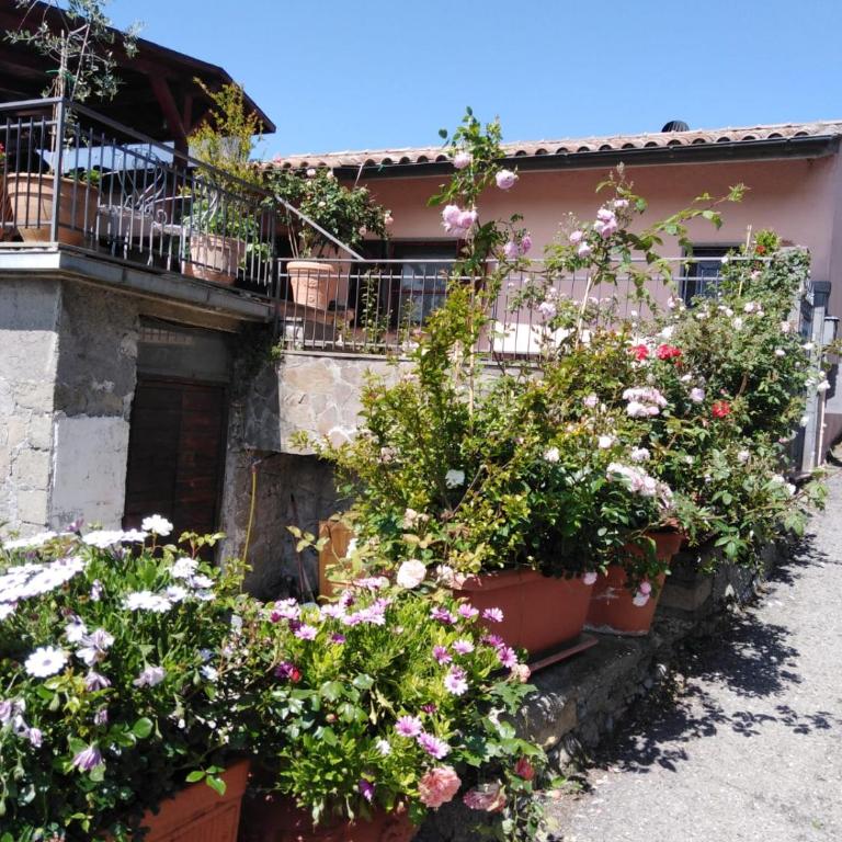 La Fenice - Apartamento de 3 dormitorios - 45