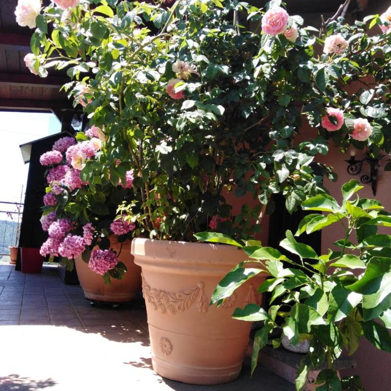 La Fenice - Apartamento de 3 dormitorios - 60