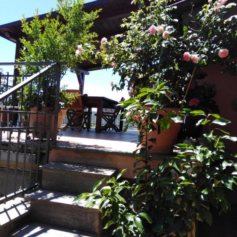 La Fenice - Apartamento de 3 dormitorios - 68