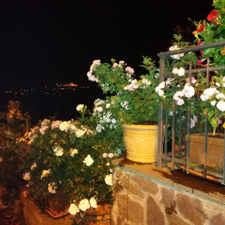 La Fenice - Apartamento de 3 dormitorios - 73